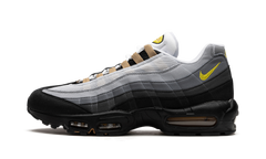 Air Max 95 "ICONS" DX4236 100