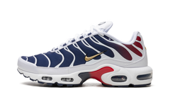 Air Max Plus "PSG" FZ4776 100