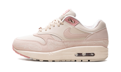 Air Max 1 WMNS "Serena Williams Design Crew" FN6941 200