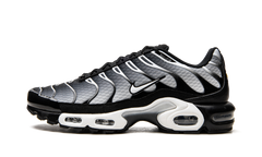 Air Max Plus "Black / Silver" DM0032 003