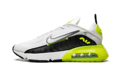 Air Max 2090 CZ7555 100